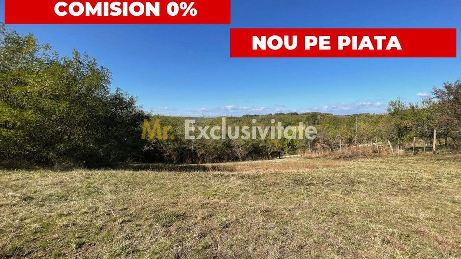 Teren Babana 5000mp intravilan - Poză 2