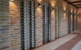 Vă invităm să investiți într-o afacere cu un raport de profitabilitate ridicat. - Poză 19
