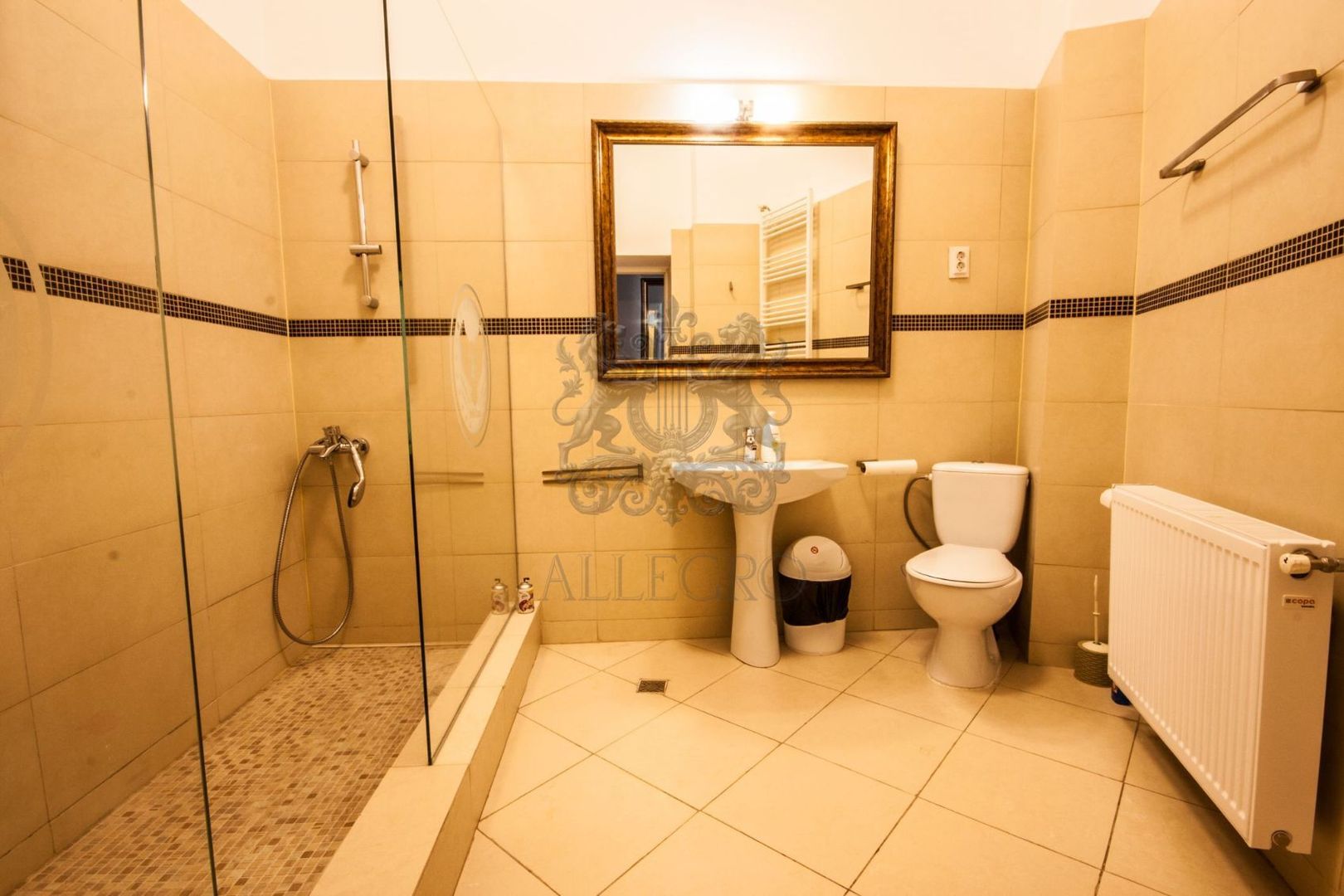 Vanzare | Apartament Tip Vila | Marasesti | Renovat Complet - Poză 11
