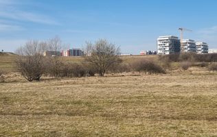 TEREN DE VÂNZARE 1000 MP ȘELIMBĂR ZONA TROIȚĂ | INVESTIȚIE