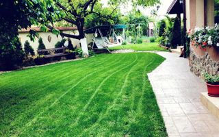 BRASADAS vinde casa individuala Lucian Blaga. - Poză 3