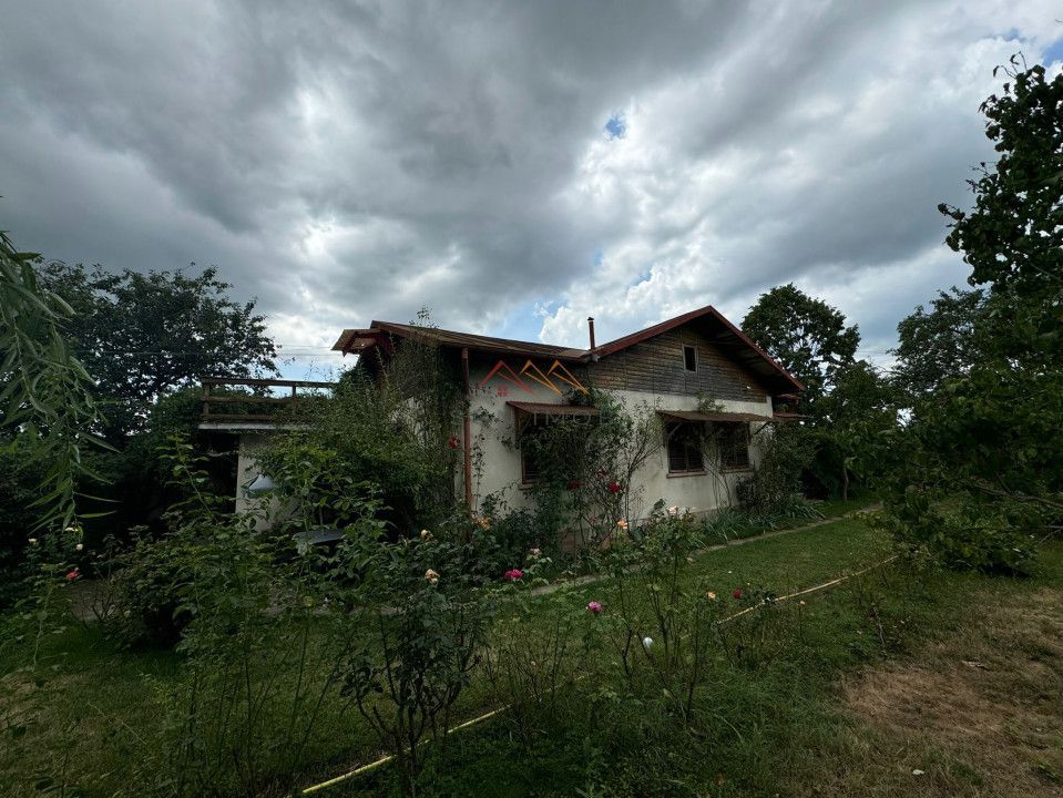 Casa 3 camere + Anexe, garaj, teren 2500 m2, an 1974, CT, Magurele, PH - Poză 4