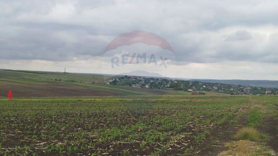 Oportunitate de Investiție – Teren gradina, 10 Ari, r-nul Ialoveni, Răzeni, extravilan - Poză 3