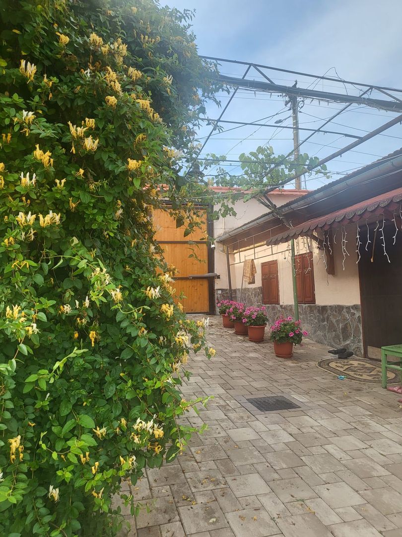 Casa saseasca renovata, cu sura - Seica Mare, Sibiu - Poză 8