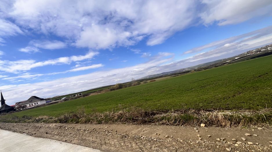 Teren de Vanzare 85 Ari I Suceava/Sf.Ecaterina I 354.000Euro - Poză 2