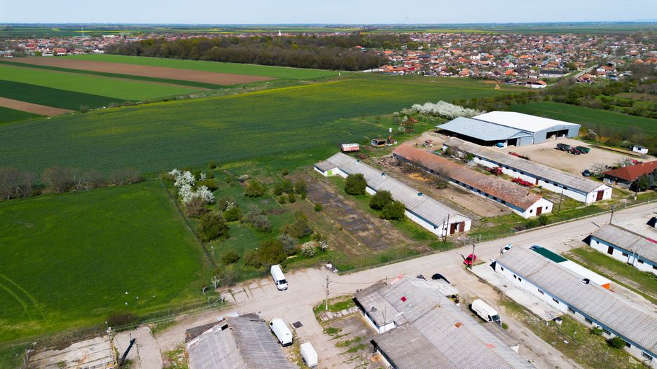 Spațiu depozitare 734mp și teren de 7.844mp Macea - Poză 5