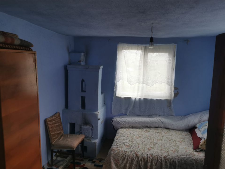 De vanzare casa in Argetoaia cu teren 7.000 mp - Poză 8