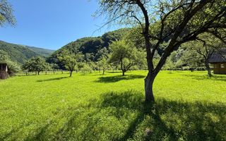 Teren Intravilan | 3050 Mp | Ieșire la Râu | Râul Sadului - Poză 1