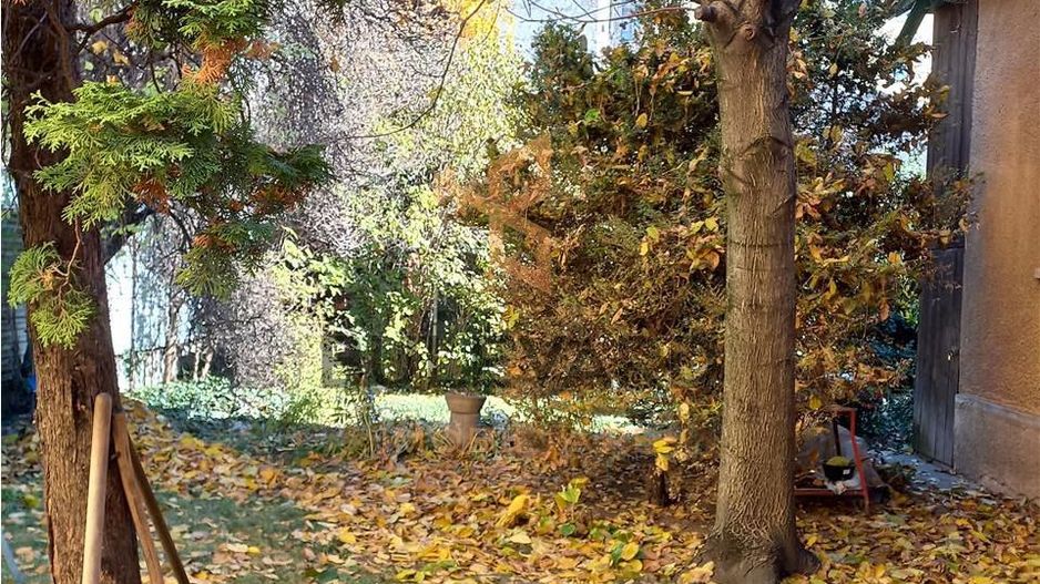 Inchiriere casa zona centrala - Poză 1