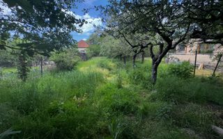 CASA CAMPULUNG, 128 MP, TEREN 639 MP - Poză 19