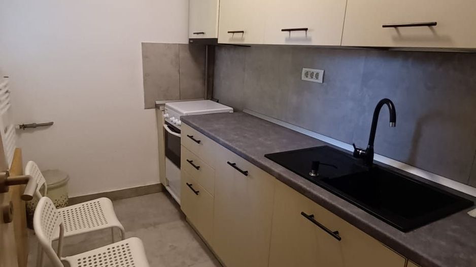 3 camere| ION MIHALACHE - Poză 4