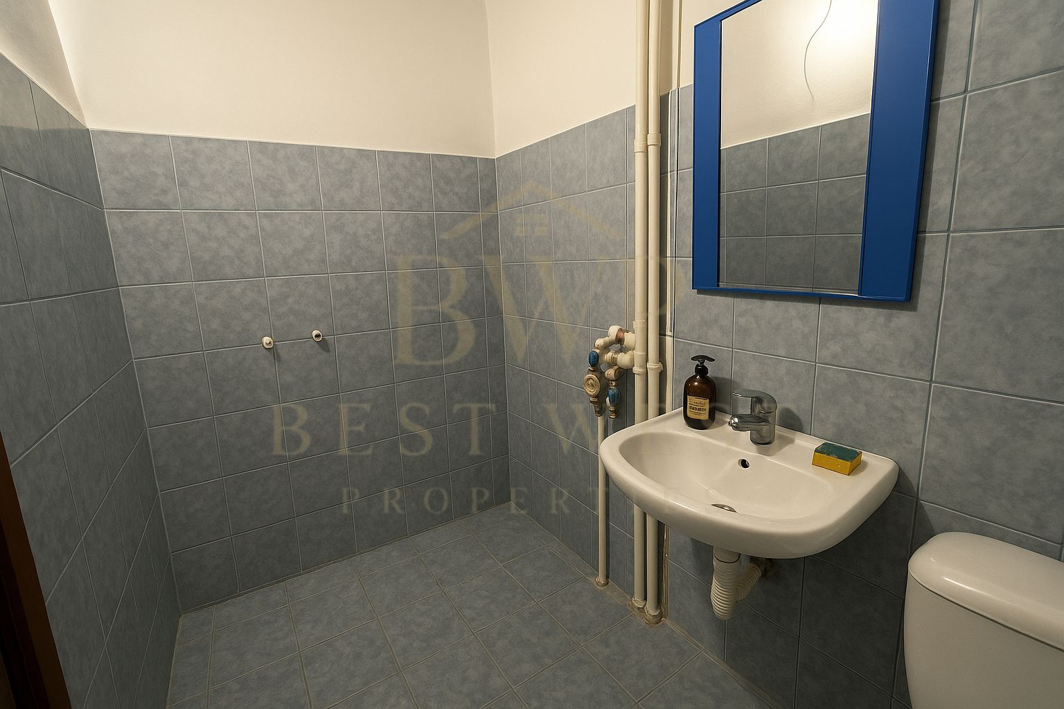 Garsonieră decomandată, etaj intermediar, Buziașului - Poză 3