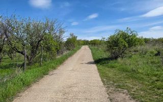 Teren intravilan 1500 mp, Tomesti – Chicerea, 10 km de Iasi, utilitati la limita - Poză 3