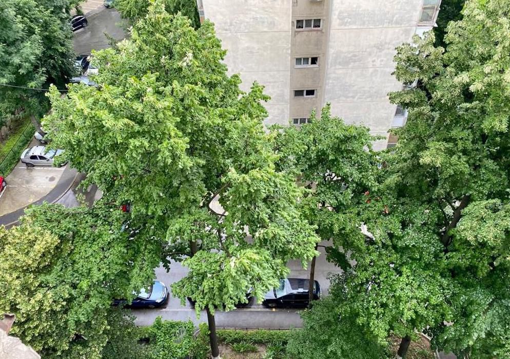 Apartament modern 3 camere | DRUMUL TABEREI | METROU - Poză 8