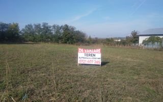 Teren de vânzare în Dascalu, judet Bucuresti Ilfov - Poză 1