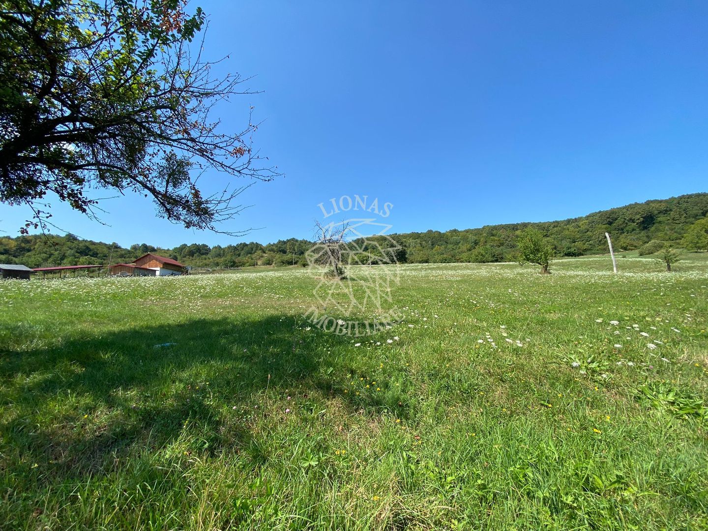 Teren 11.000 mp-ideal cabana/ferma-Unirea-Valea Slatinitei - Poză 8