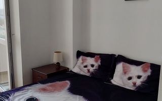 Închiriez apartament - Poză 4