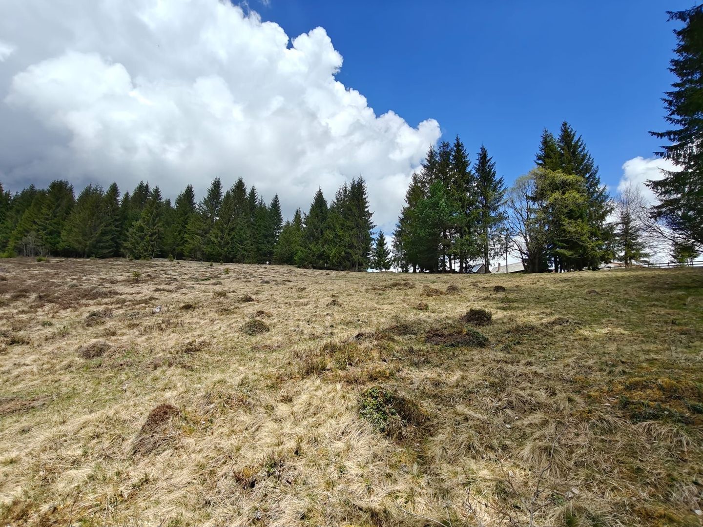 Teren intravilan, 1500 mp, Dealu Botii, com Belis, Comision 0 - Poză 1