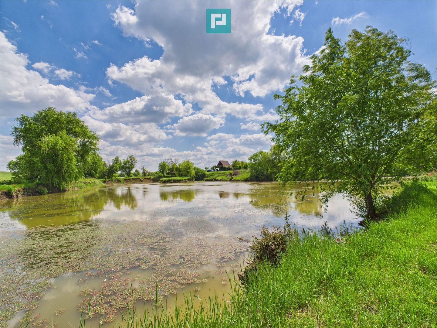 Teren cu baltă- oportunități multiple la Fibiș - Poză 24