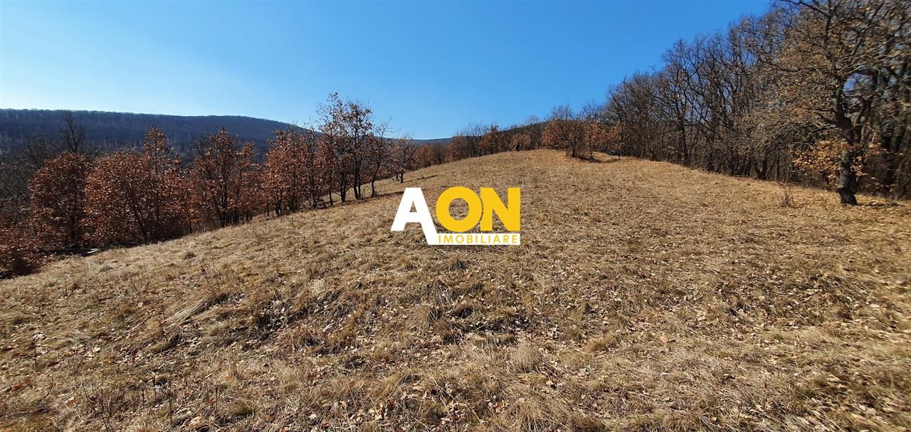 Teren ideal pentru cabana 4165 mp langa padure zona Valea Popii - Poză 1