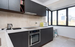 Inchiriere duplex cu terase - Birou/Rezidential - Barbu Vacarescu - Poză 5