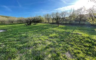 Tren Soporului Intravilan ,5500 MP Utilitati,  Oportunitate - Poză 2