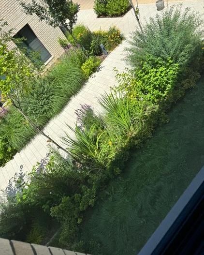 Vanzare duplex cu gradina proprie | 3 camere | Avalon Estate - Poză 9