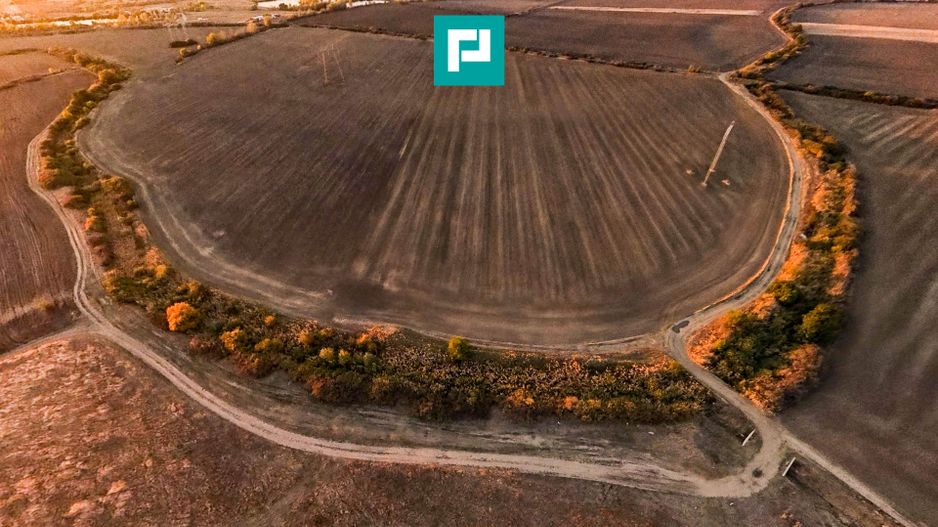 Teren arabil 68,800mp Zimandu Nou - Poză 8