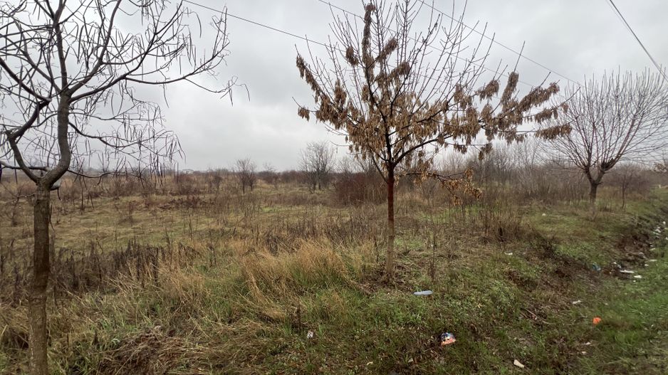 Teren la DN7 - ideal investitie (Benzinarie, spalatorie, hala) - Poză 8