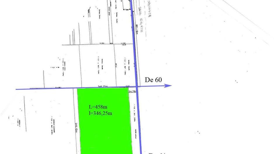 Teren 19 hectare compact Ilfov -acces DN2 - Poză 3