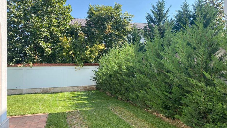 VILA CASA DE INCHIRIERE IN ZONA EROU IANCU NICOLAE PIPERA - Poză 14