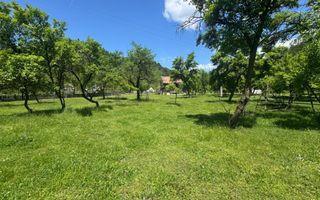TEREN INTRAVILAN 3477 MP STOENEȘTI BĂDENI ARGEȘ - Poză 19