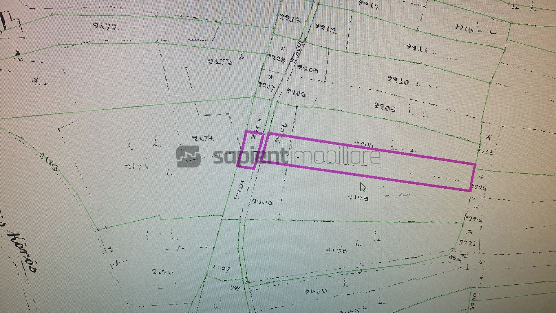 Teren Extravilan Livada Episcopia - Poză 1