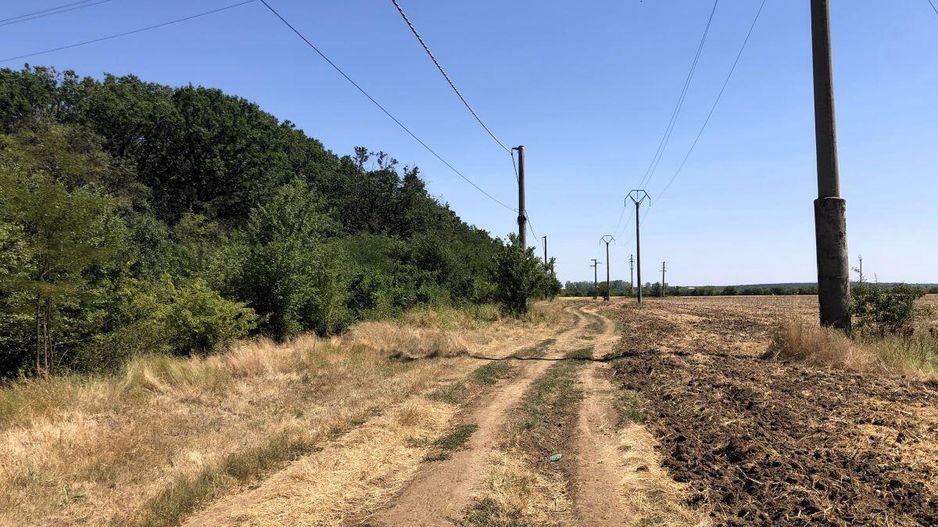 Moara Vlasiei - langa Padurea Biglaru, 11.884 mp, deschidere 40 ml - Poză 1