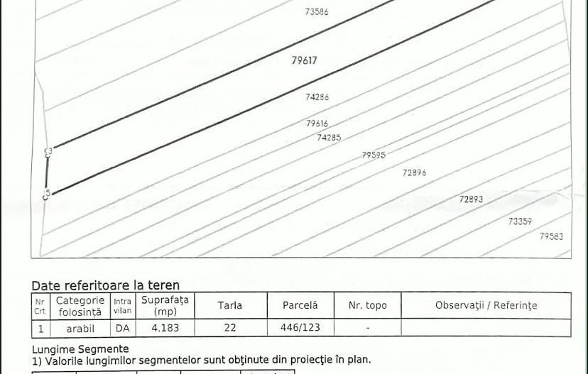Teren de vânzare in comuna Șotânga, sat Teiș – 4183 mp - Poză 2