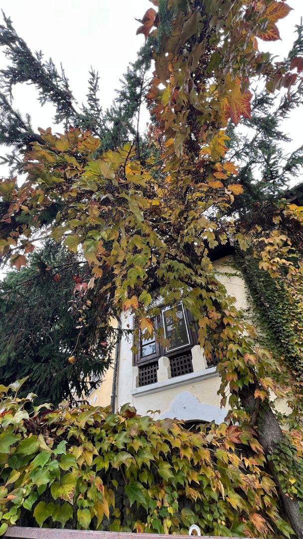 Casa Cotroceni | S+P+ET+POD | teren 188 mp - Poză 2