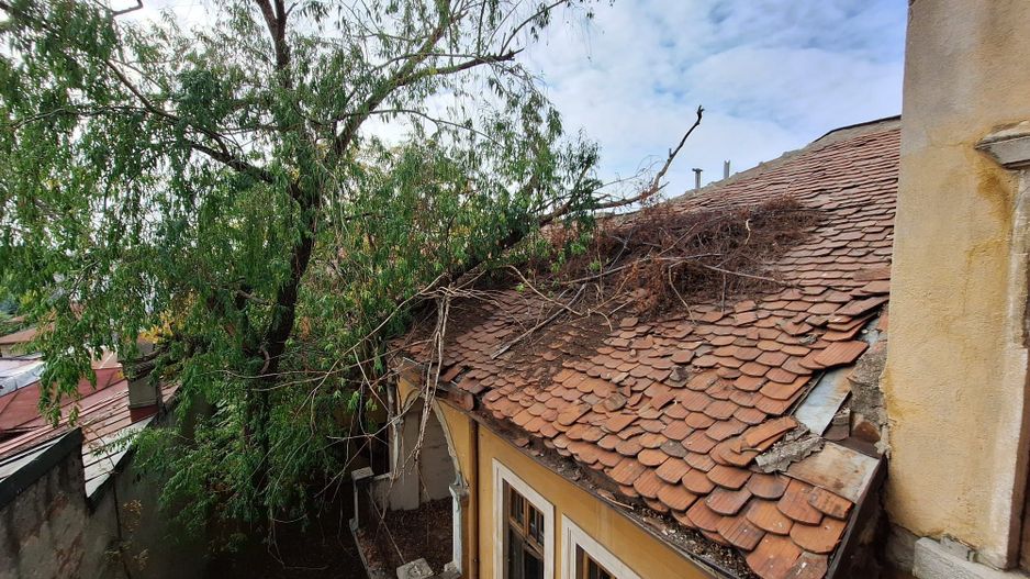 Proprietate Prestigioasa 700 mp - 344 mp teren Pache - Ferdinand - Poză 13