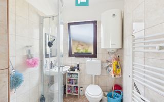 Casă 225 mp cu teren 1.482 mp în Leș - Poză 22