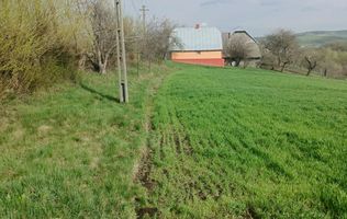 Teren intravilan Ilișești/Suceava