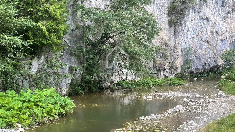 Teren pentru investiție turistică în Dâmbovicioara – Baranga | 4.500 mp | Front ~102 ml - Poză 22