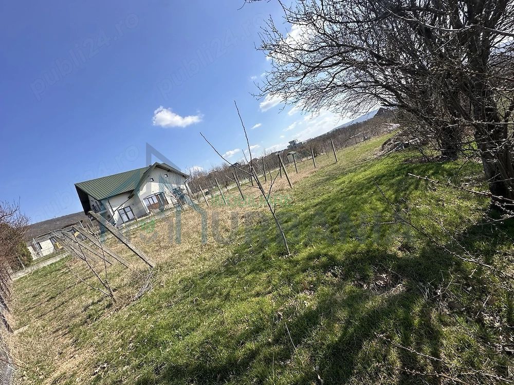 Teren intravilan de vânzare în centrul comunei Bârnova, Iași - Poză 2