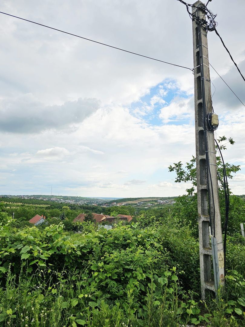 Teren construibil Saldabagiu de Munte 780 mp - Poză 9