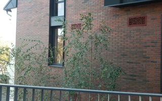 Apartamente 2 camere bloc nou Universitate Armemeasca prima Inchiriere - Poză 3