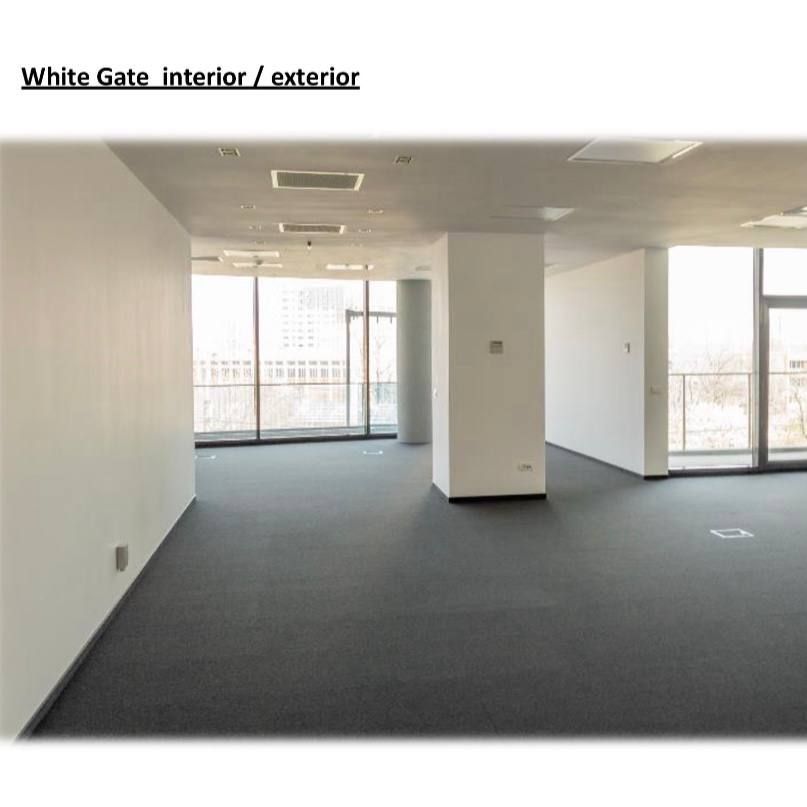 Boutique Offices - Damaroaia - Poză 5