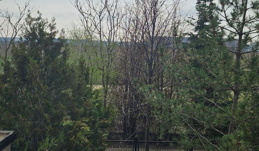 Duplex 4 camere in Cosmopolis - Poză 26