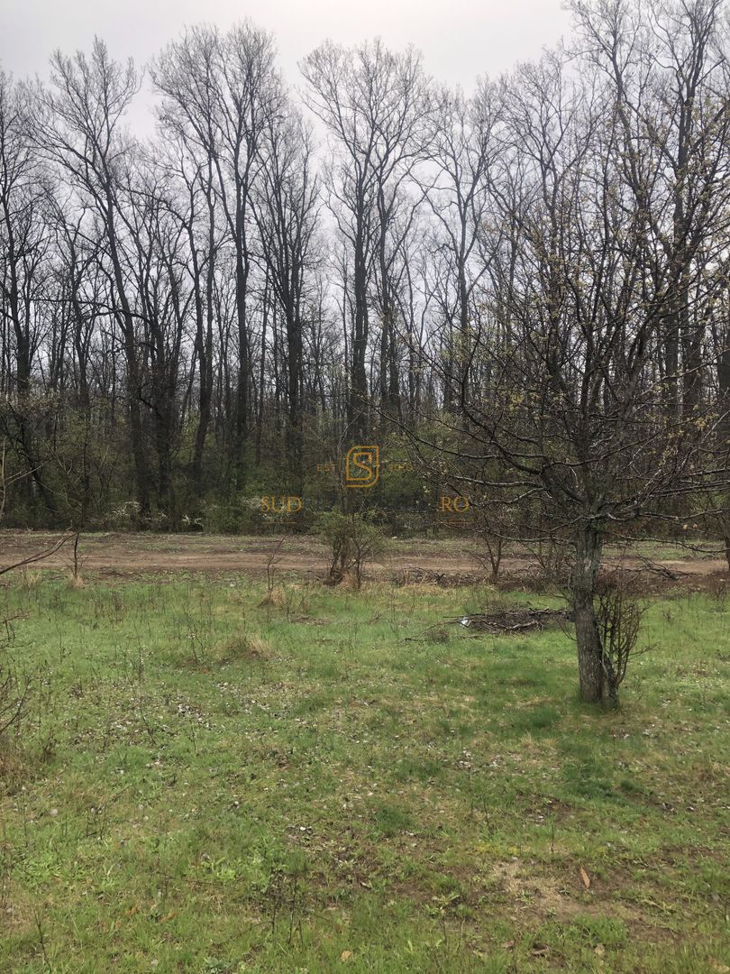 Teren de vânzare 10.028 mp – Mogoșoaia, lângă Pădurea Motoc - Poză 8