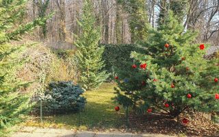 Vila langa padurea Baneasa, zona Liceul Francez, Sector 1, Bucuresti - Poză 3