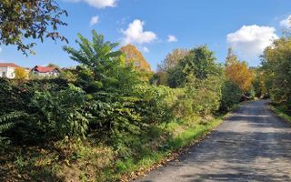 Teren intravilan 5000 mp cu front stradal 50 mp, zona Bucium, Iași - Poză 3