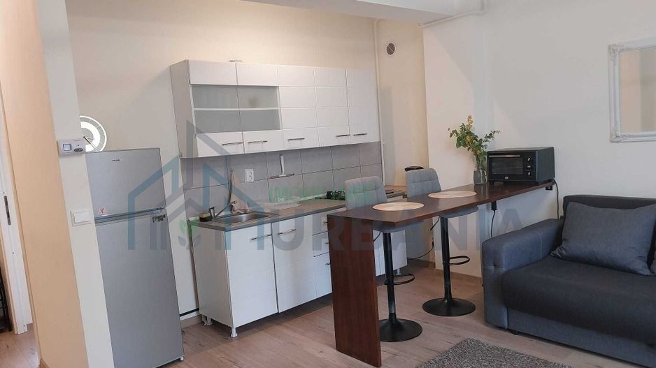 Închiriem 3 apartamente în Iași - zonele Tudor V, Tg. Cucu, Spital Pașcanu - 1 și 2 camere, parter, cu grădină și parcare - Poză 2