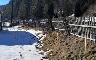 Teren intravilan în Munții Capul Corbul, Harghita - Poză 5